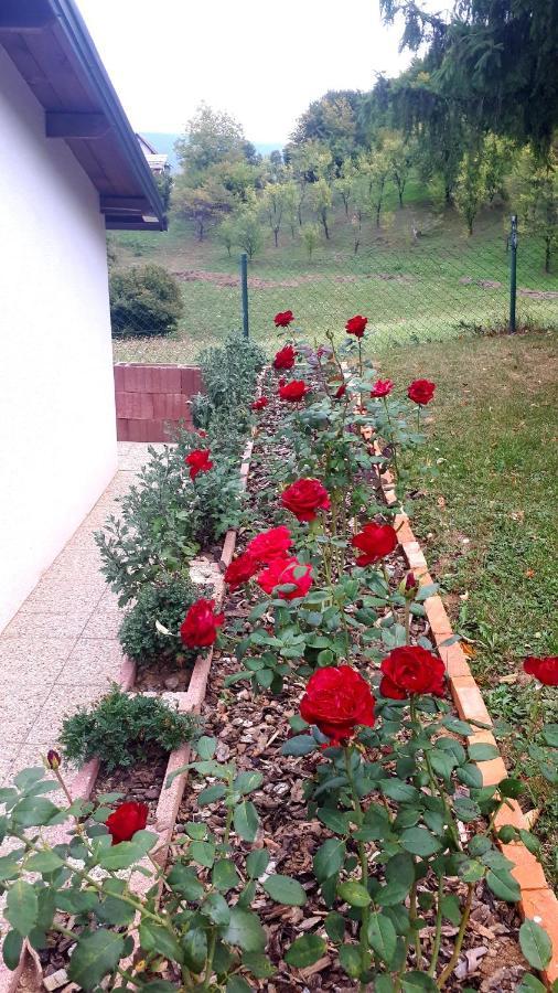 Studio Apartman Firdaus-Bihac, Dobrenica Bb Exterior foto